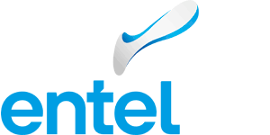 entel-bolivia plans